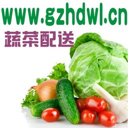 為什么要吃有機(jī)蔬菜？廣州農(nóng)產(chǎn)品配送公司gzhdwl.cn為您解讀健康生活新風(fēng)尚