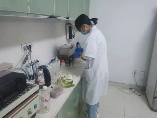 四大農貿市場抽檢結果公布，36批次食用農產品安全有保障