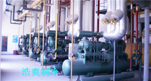 天津防爆型冷庫工程中的網(wǎng)絡系統(tǒng) 設(shè)計與安裝要點解析